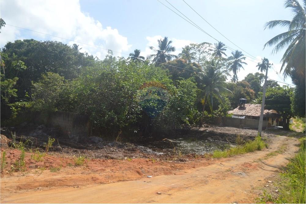 Terreno - Venda - Maragogi , Alagoas - WhatsApp Image 2025-10-19 at 9.01.32 AM (1).jpeg - 850291008-53
