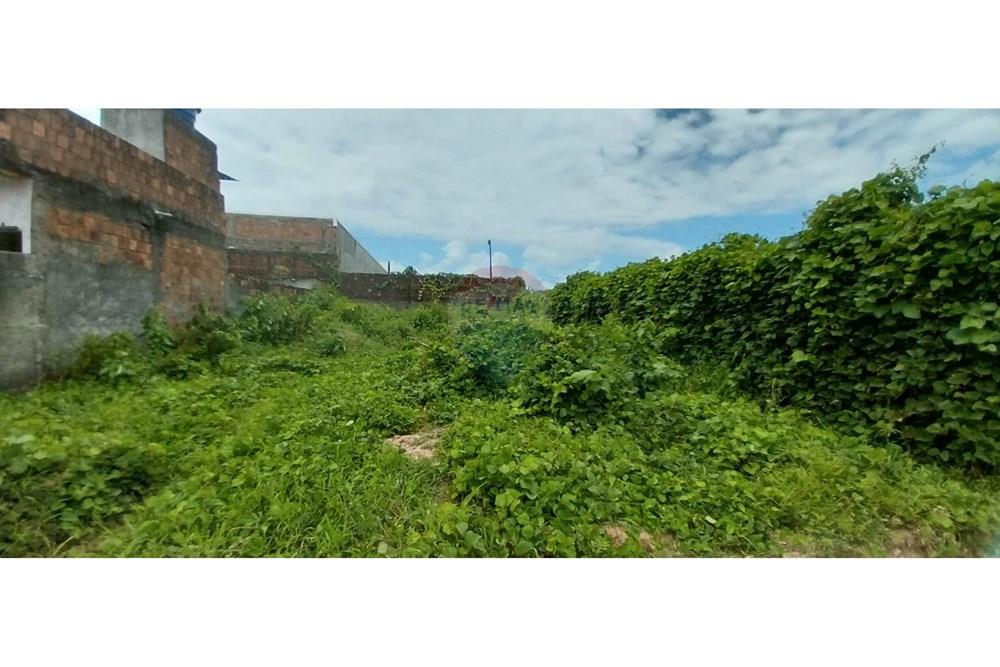 Terreno - Venda - Cabo de Santo Agostinho , Pernambuco - 745f4ef1-cd4d-42d9-862e-1115d49a44ce (1).jpg - 850281005-154