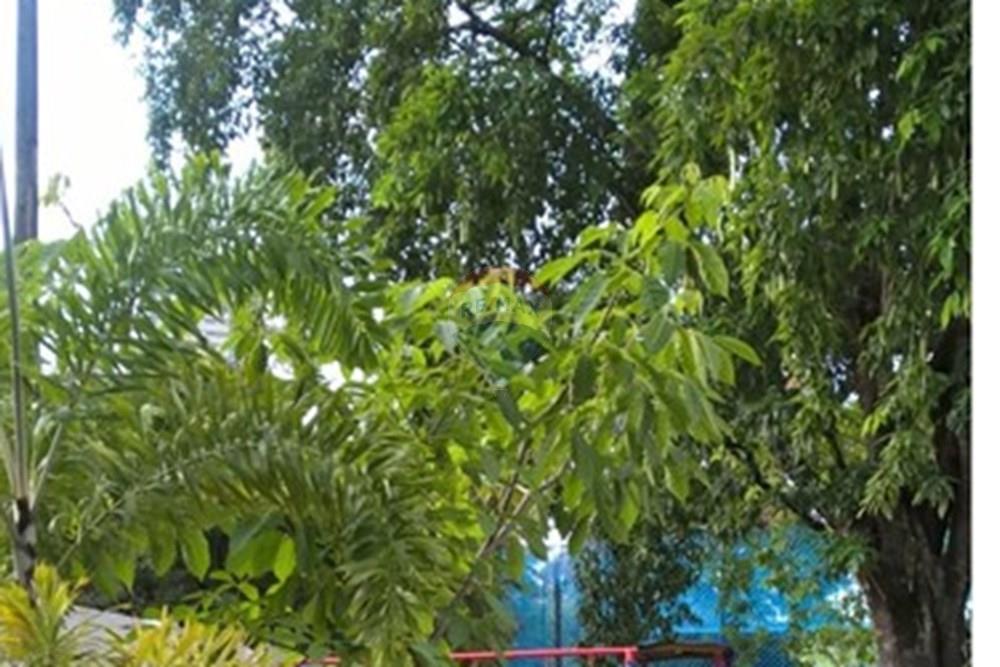 Apartamento - Venda - Recife , Pernambuco - WhatsApp Image 2025-06-20 at 11.37.10 (1).jpeg - 850301025-45