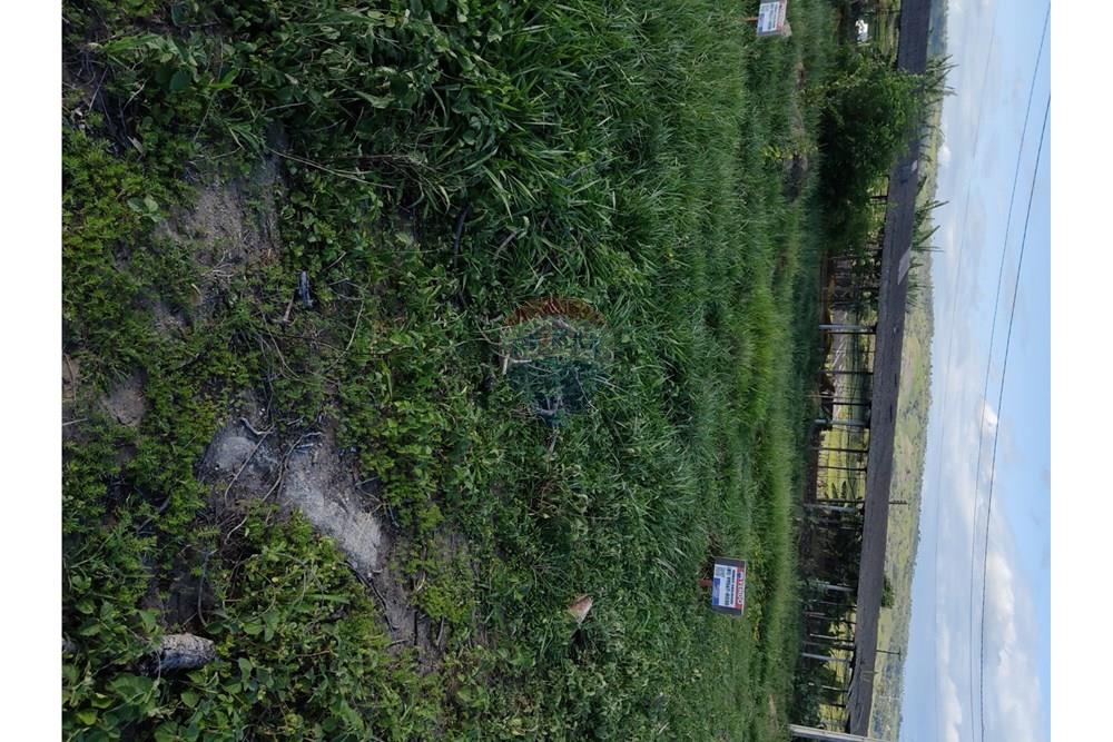 Terreno - Venda - Bonito , Pernambuco - WhatsApp Image 2025-03-10 at 08.43.29 (2).jpeg - 850051012-96