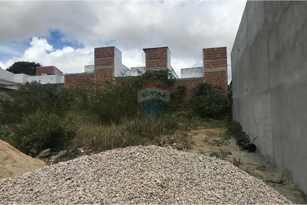 Terreno - Venda - Garanhuns , Pernambuco - TERRENO MOISES 2.jpg - 850741005-14