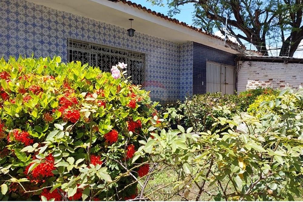 Casa Comercial - Venda - Recife , Pernambuco - IMG-20251022-WA0278.jpg - 850071027-32