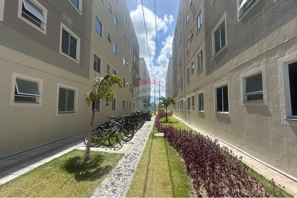 Apartamento - Alugar - Jaboatão dos Guararapes , Pernambuco - WhatsApp Image 2025-10-21 at 13.59.35.jpeg - 850251108-1