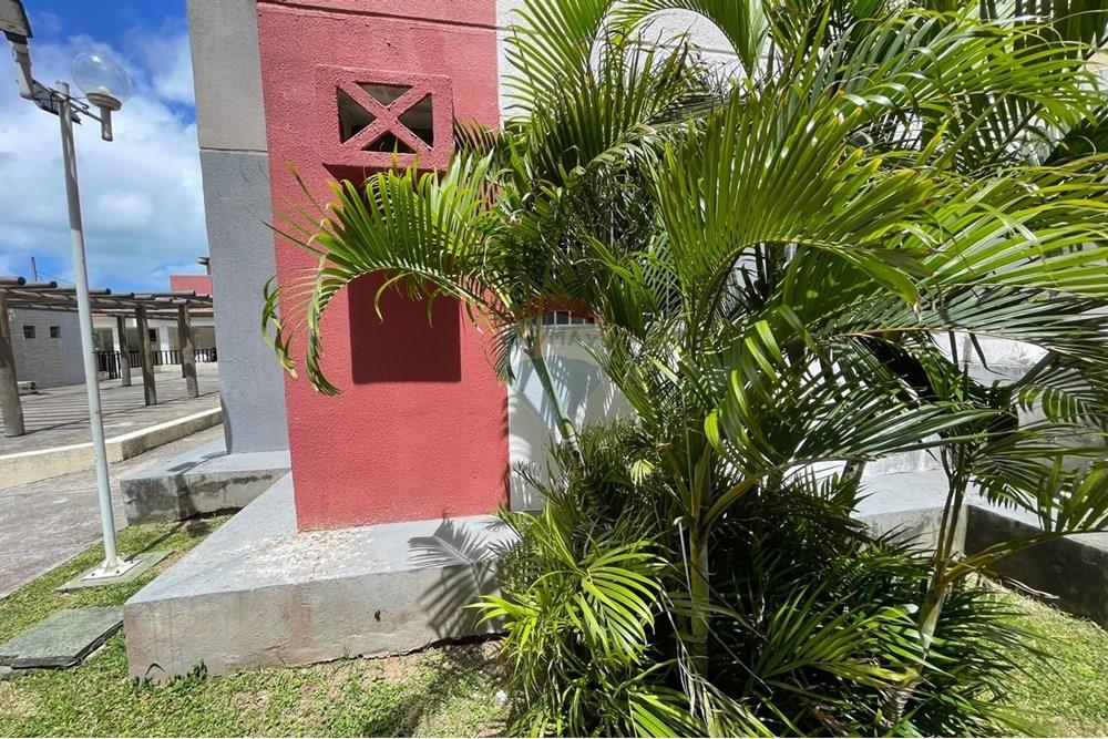 Apartamento - Venda - Barra dos Coqueiros , Sergipe - WhatsApp Image 2025-09-10 at 22.03.21 (3).jpeg - 850631014-18