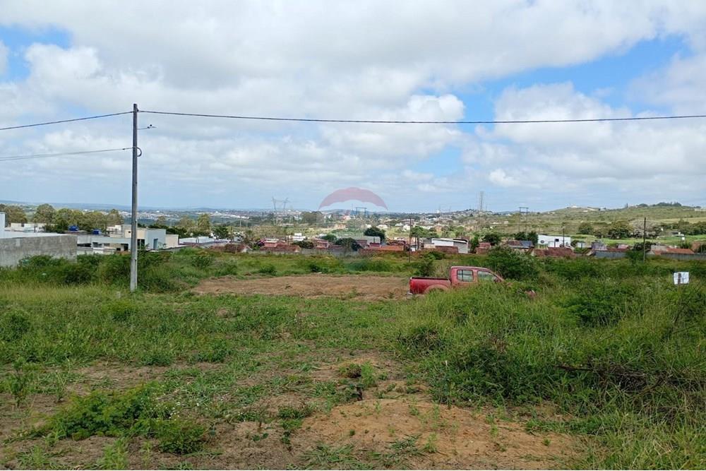 Terreno - Venda - Garanhuns , Pernambuco - 3 FOTO LOTE DE SEU ROCHA.jpg - 850741005-26