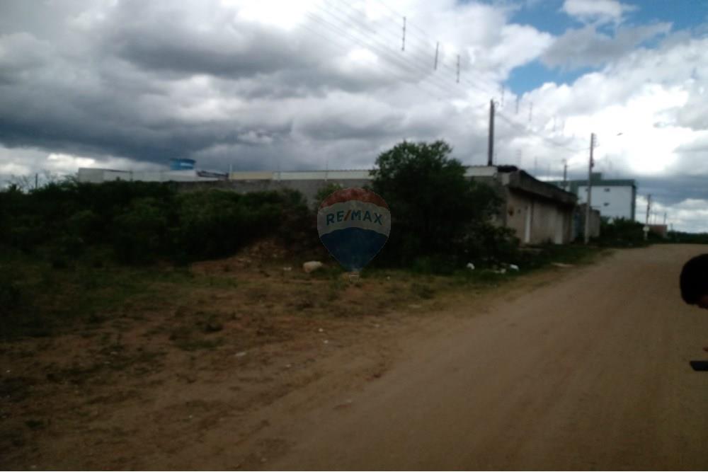 Terreno - Venda - Caruaru , Pernambuco - IMG_20250225_142105390.jpg - 850161084-3