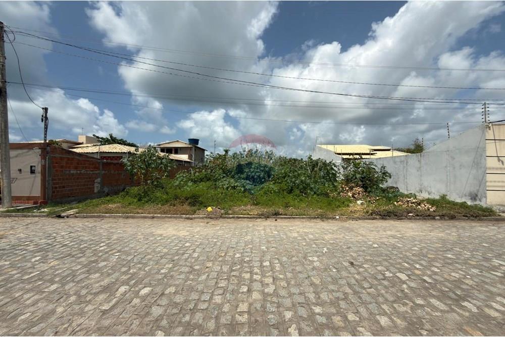 Terreno - Venda - Barra de São Miguel , Alagoas - WhatsApp Image 2025-09-22 at 09.23.28.jpeg - 850491055-23