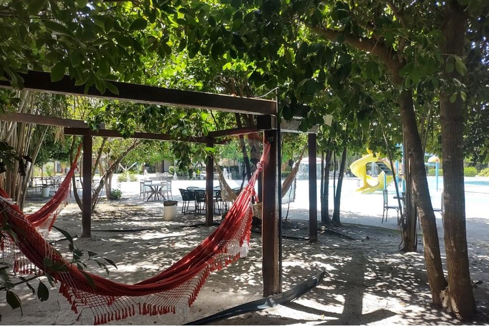 Apartamento - Venda - Barra de São Miguel , Alagoas - WhatsApp Image 2025-08-09 at 09.33.29 (1).jpeg - 850691012-71