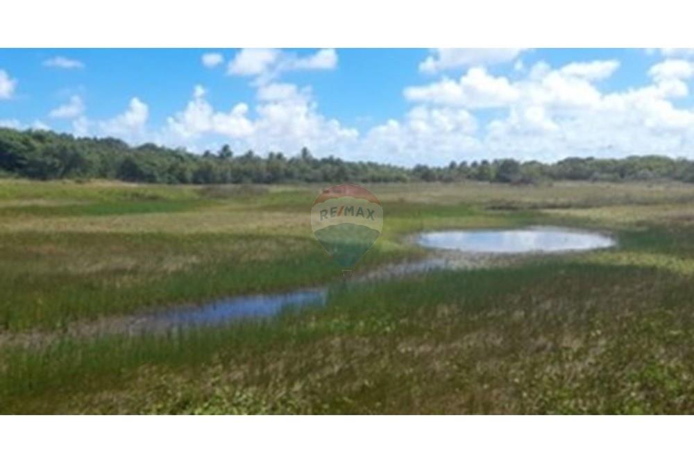 Chácara / Sítio / Fazenda - Venda - Piaçabuçu , Alagoas - Captura de Tela (773).jpg - 850271205-15