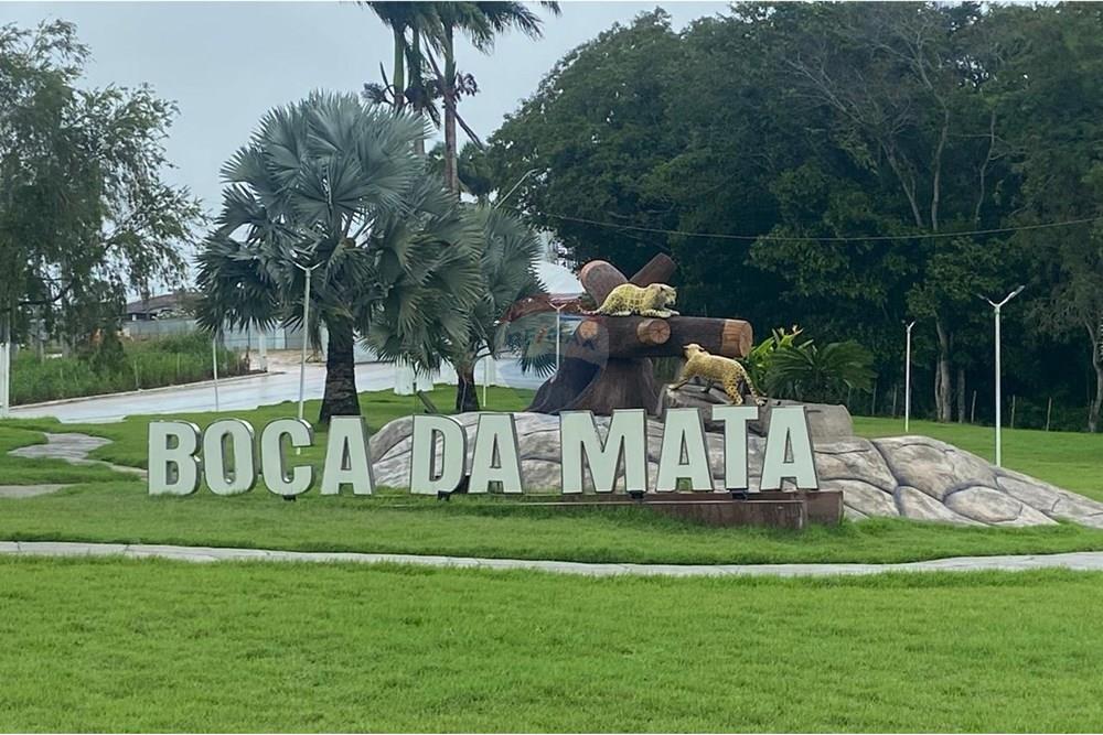 Chácara / Sítio / Fazenda - Venda - Boca da Mata , Alagoas - IMG-20250716-WA0075.jpg - 850641022-68