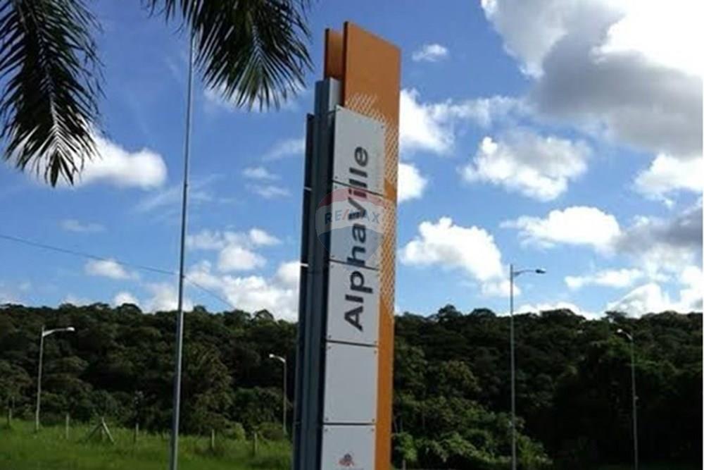 Terreno - Venda - Recife , Pernambuco - IMG_0825.jpeg - 850701016-40