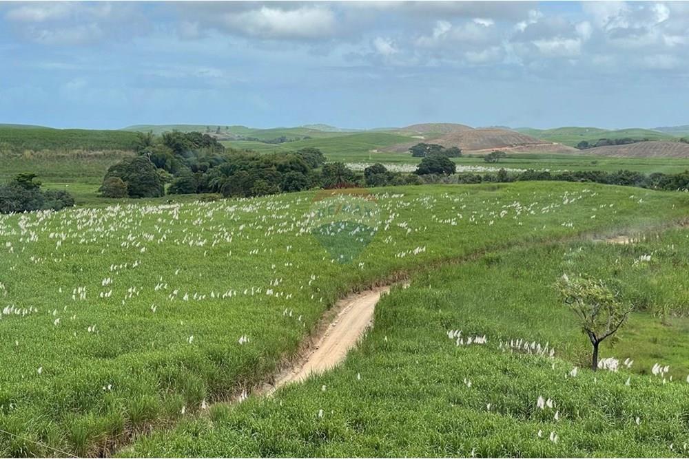 Apartamento - Alugar - Ipojuca , Pernambuco - a8b88f84-c218-42a2-8bed-abda3f3b0016.jpg - 850281005-157