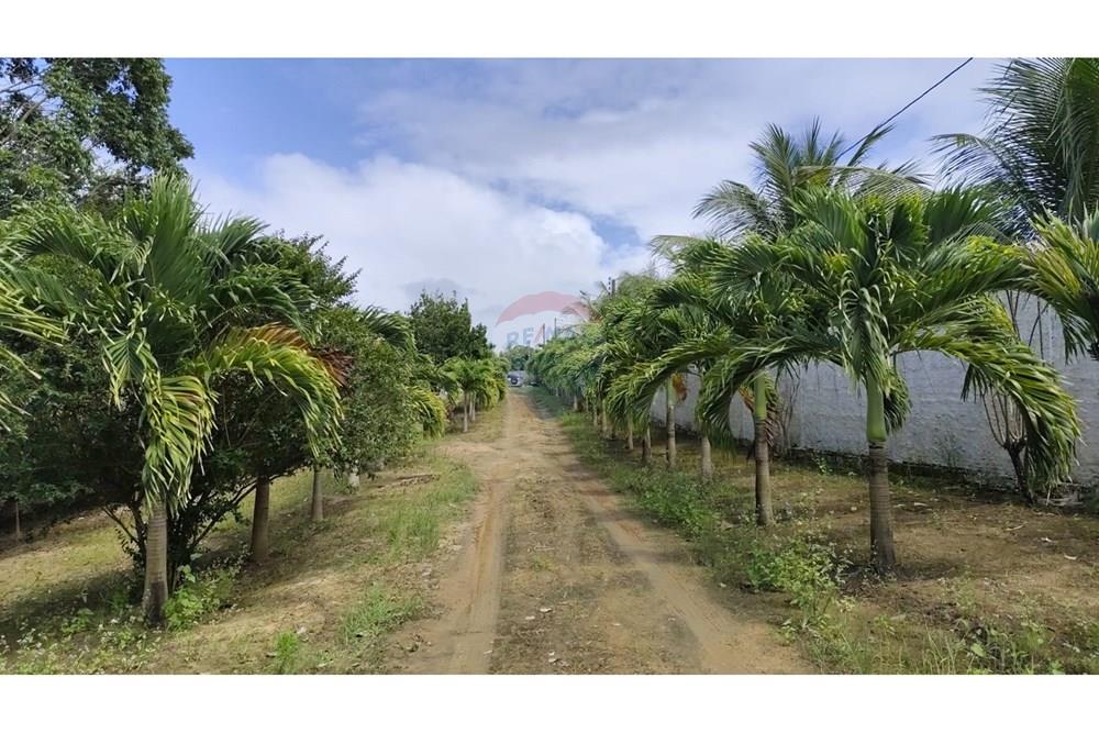 Casa de Campo - Venda - Paripueira , Alagoas - cc03.jpg - 850141043-103