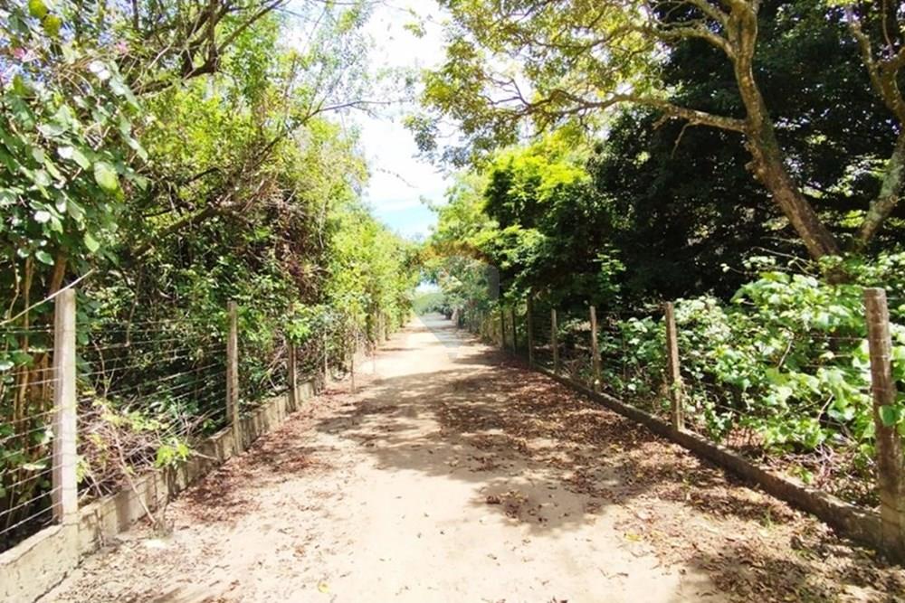 Chácara / Sítio / Fazenda - Venda - Igarassu , Pernambuco - WhatsApp Image 2025-01-23 at 15.11.57.jpeg - 850071019-161