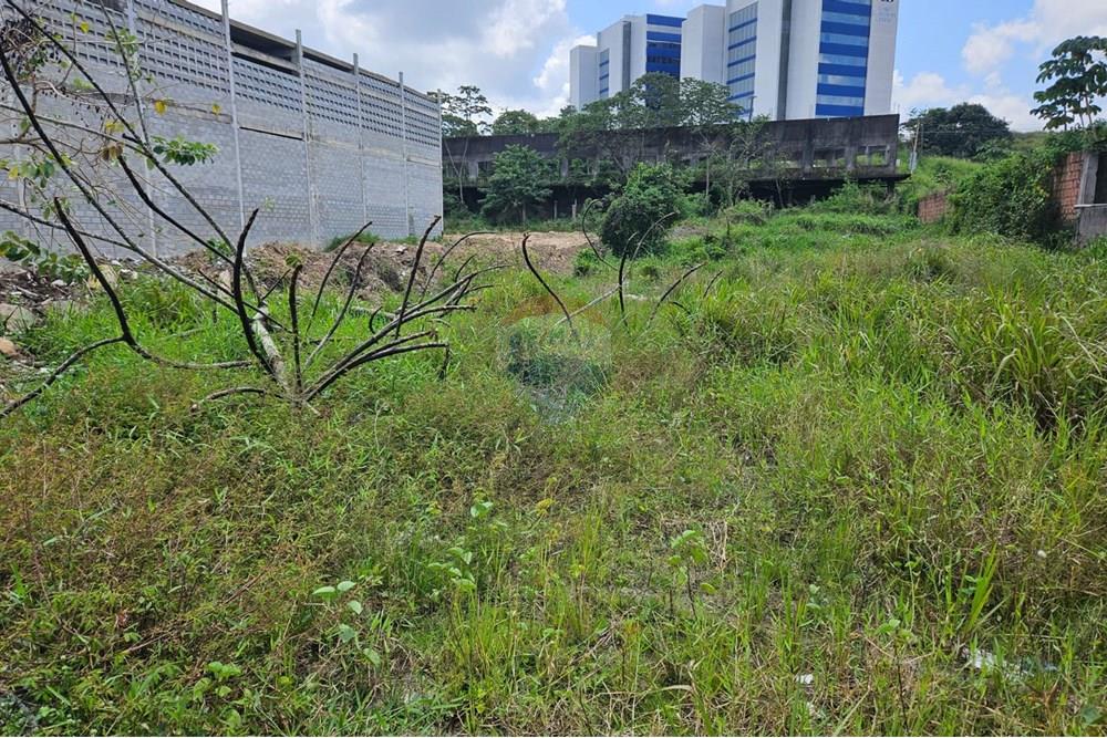 Terreno - Venda - Cabo de Santo Agostinho , Pernambuco - WhatsApp Image 2025-09-26 at 09.40.29 (4).jpeg - 850281003-1333