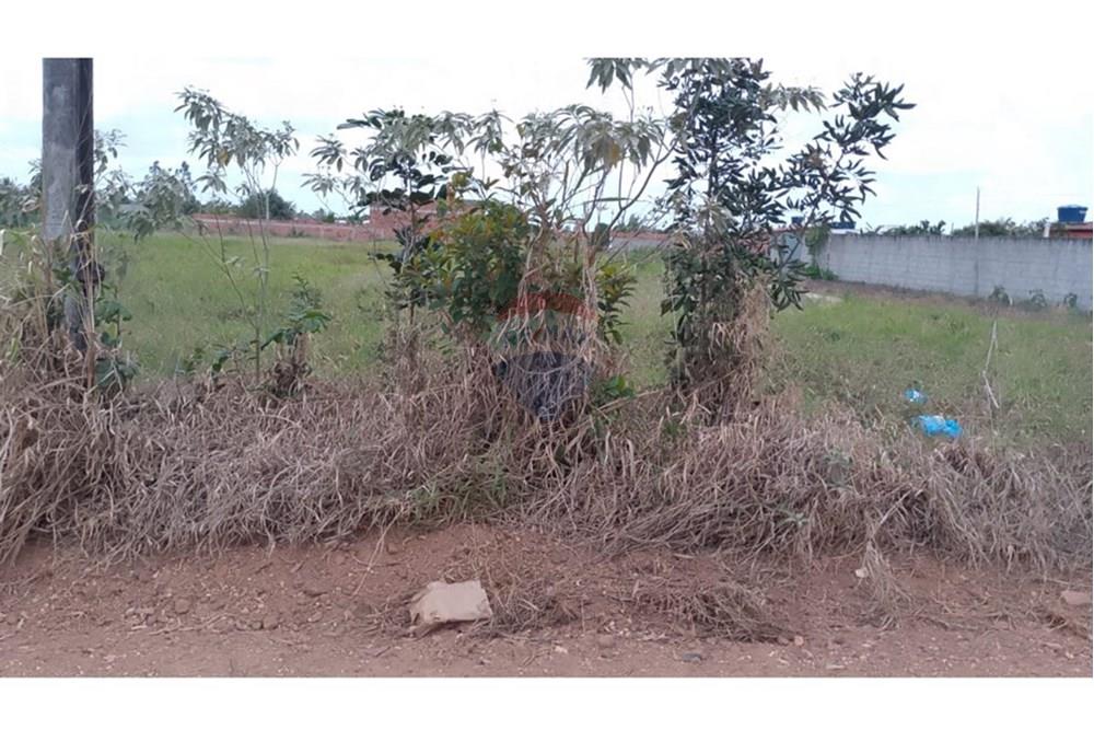 Terreno - Venda - Salgado , Sergipe - IMG-20250920-WA0033.jpg - 850581216-33