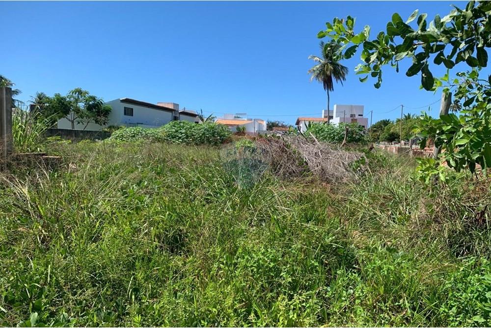 Terreno - Venda - Porto de Pedras , Alagoas - 6.jpg - 850661038-25