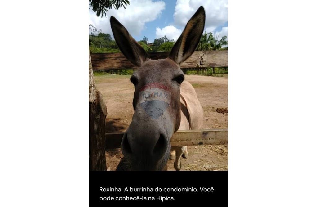 Casa de Condomínio - Venda - Camaragibe , Pernambuco - ROXINHA 1.jpeg - 850091072-10