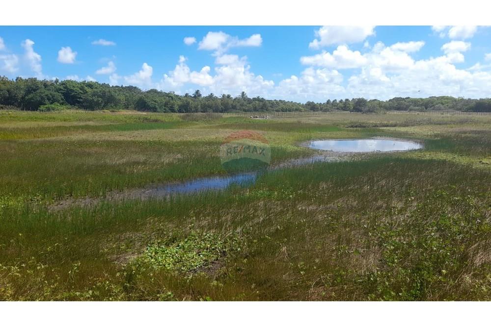 Chácara / Sítio / Fazenda - Venda - Piaçabuçu , Alagoas - Imagem do WhatsApp de 2025-02-21 à(s) 13.38.32_d7e41805.jpg - Jardim Externo - 850271205-15