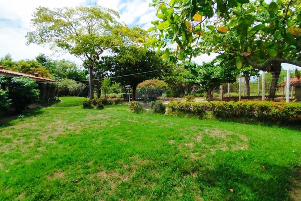 Chácara / Sítio / Fazenda - Venda - Igarassu , Pernambuco - WhatsApp Image 2025-01-23 at 15.12.42 (2).jpeg - 850071019-161