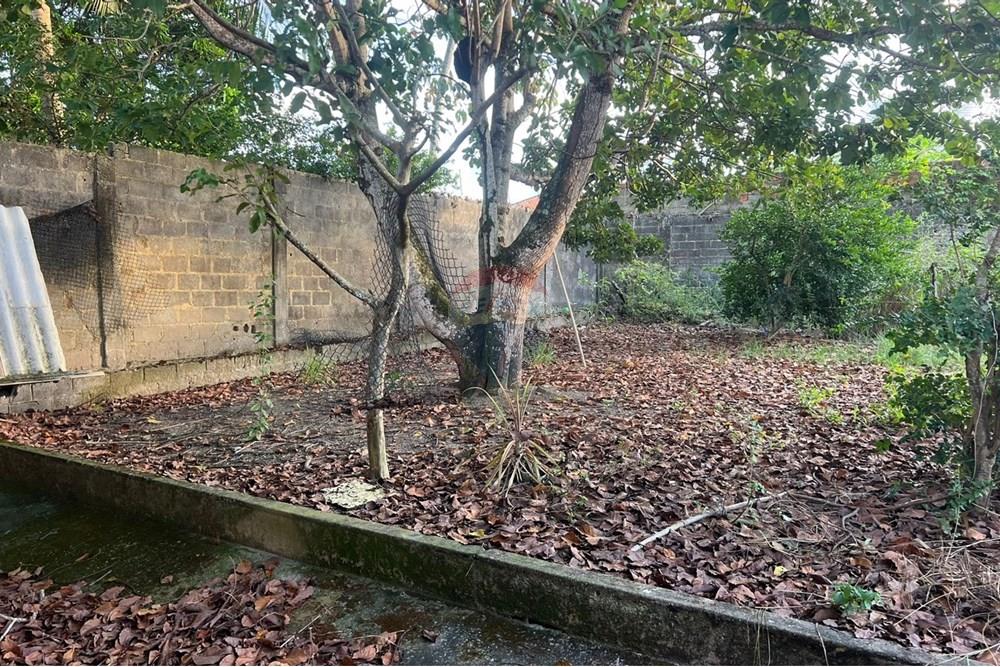 Chácara / Sítio / Fazenda - Venda - Maceió , Alagoas - 38e33900-df78-48f4-ba41-0fb47a02320b.jpg - 850271213-2