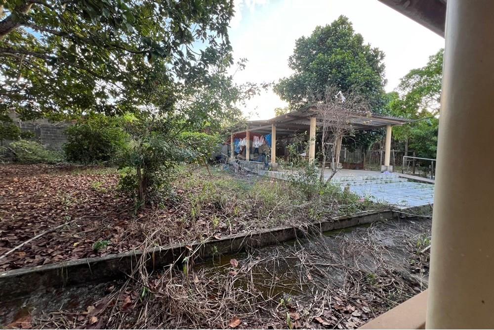 Chácara / Sítio / Fazenda - Venda - Maceió , Alagoas - ef4b6383-889d-43fe-a265-c7462aba47f7.jpg - 850271213-2