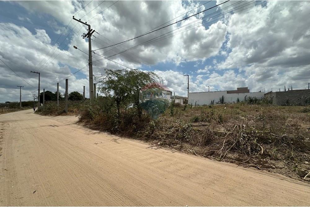 Terreno - Venda - Lajedo , Pernambuco - WhatsApp Image 2024-12-03 at 21.00.08 (4).jpeg - 850131003-360