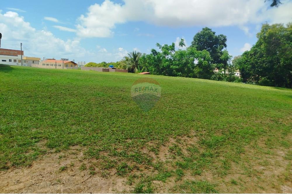 Terreno - Venda - Olinda , Pernambuco - WhatsApp Image 2025-03-16 at 14.33.02.jpeg - 850721002-140