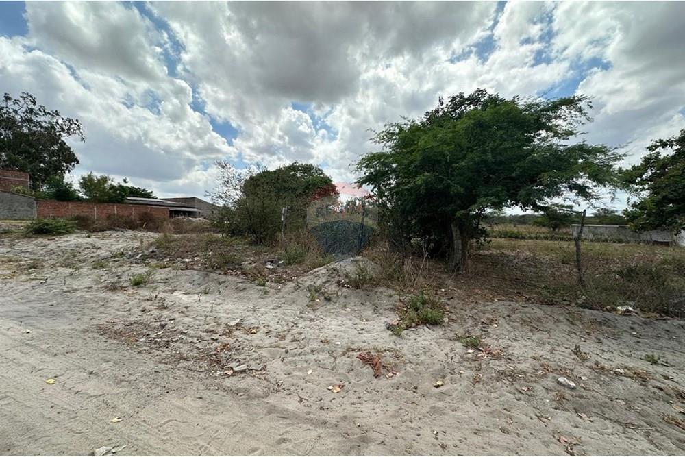 Terreno - Venda - Lajedo , Pernambuco - WhatsApp Image 2024-12-03 at 15.52.46 (7).jpeg - 850131003-358
