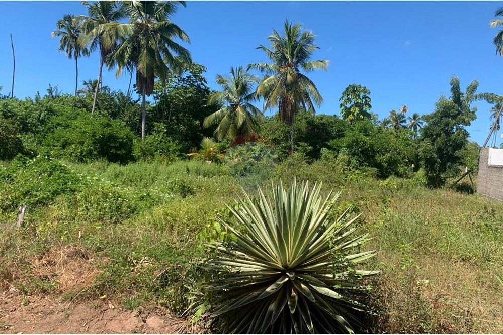 Terreno - Venda - Porto de Pedras , Alagoas - 6.jpg - 850661038-32