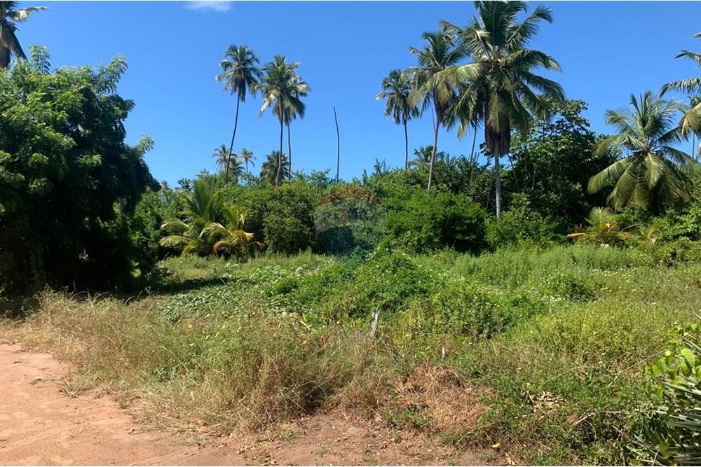 Terreno - Venda - Porto de Pedras , Alagoas - 9.jpg - 850661038-32