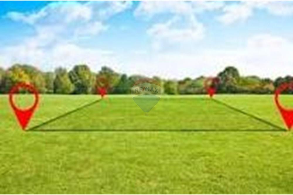 Terreno - Venda - Carpina , Pernambuco - LOTE NOVA.jpeg - 850261003-313