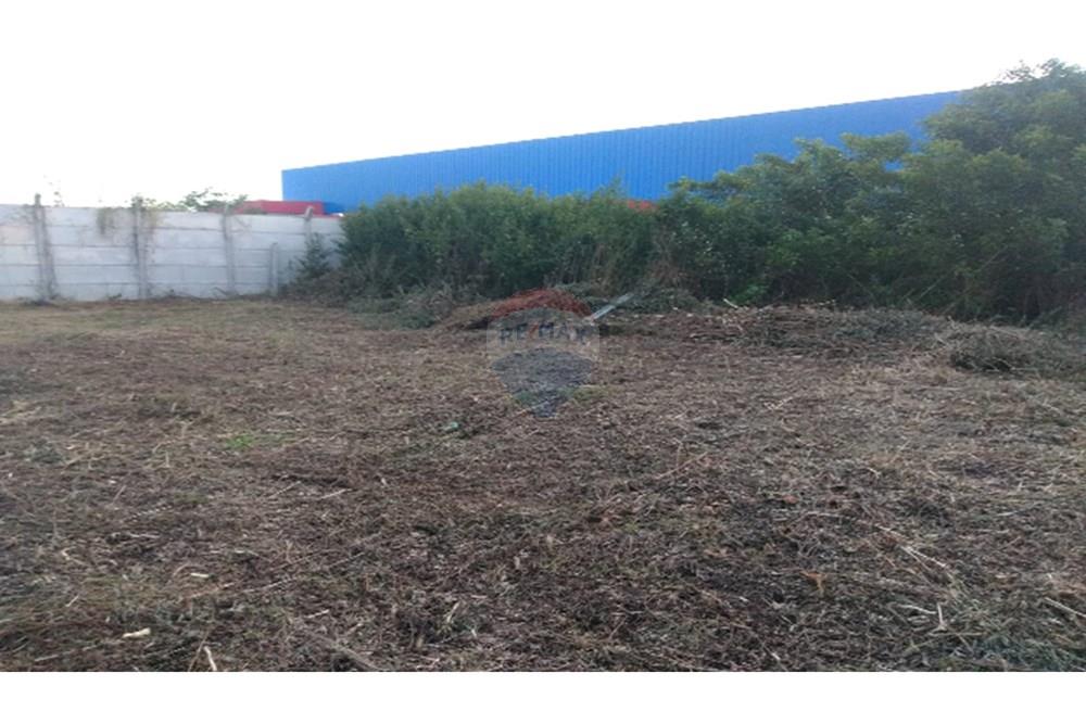 Terreno - Venda - Ipojuca , Pernambuco - terreno evandro (3).jpg - 850281039-5