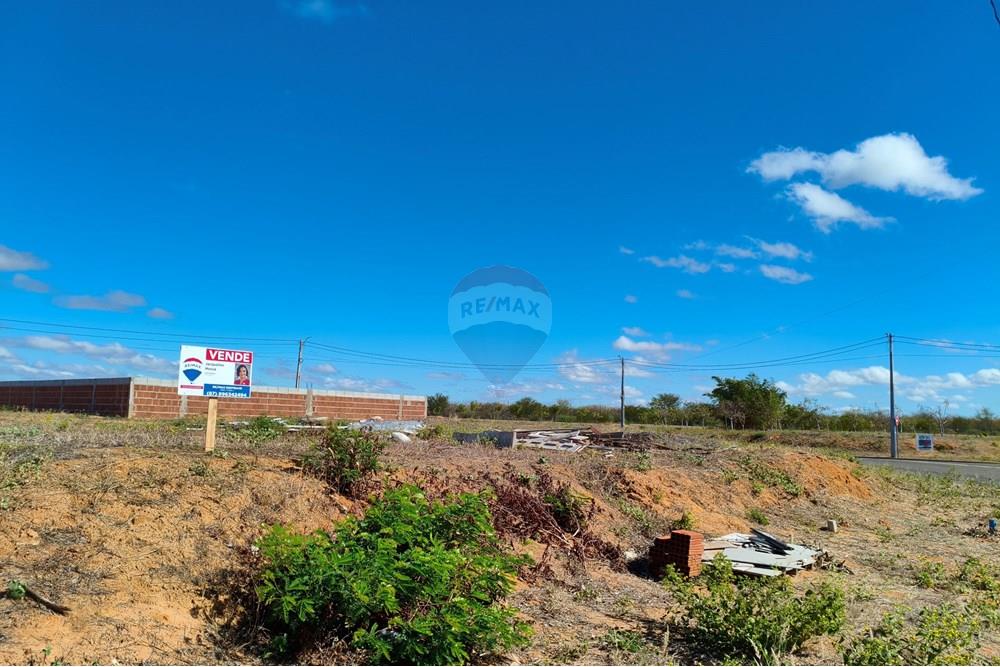 Terreno - Venda - Petrolina , Pernambuco - IMG_20250528_090129.jpg - 850611008-66