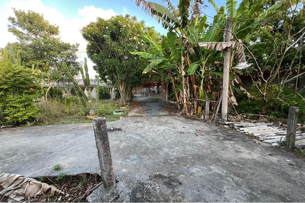 Chácara / Sítio / Fazenda - Venda - Maceió , Alagoas - 9a5f11f4-eda4-430d-a500-252b93cbfac8.jpg - 850271213-2