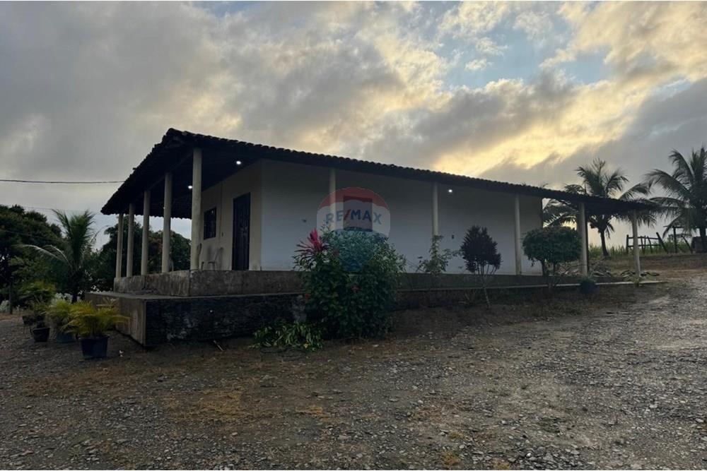 Chácara / Sítio / Fazenda - Venda - Boca da Mata , Alagoas - WhatsApp Image 2025-09-30 at 10.02.35 (1).jpeg - 850641045-58