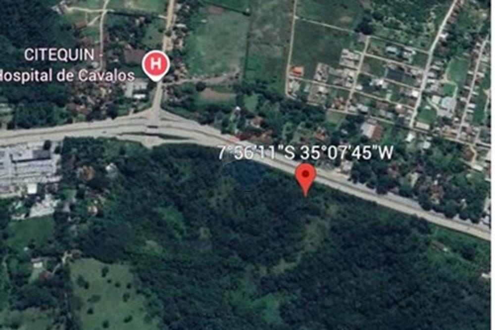 Terreno - Venda - Lagoa Grande , Pernambuco - 06ab460d-e5a7-4bfe-a764-b26436623f58.jpeg - 850701019-3