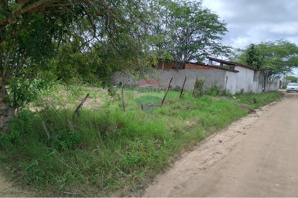 Casa de Campo - Venda - Lajedo , Pernambuco - IMG_20250530_110024_HDR.jpg - 850131018-47