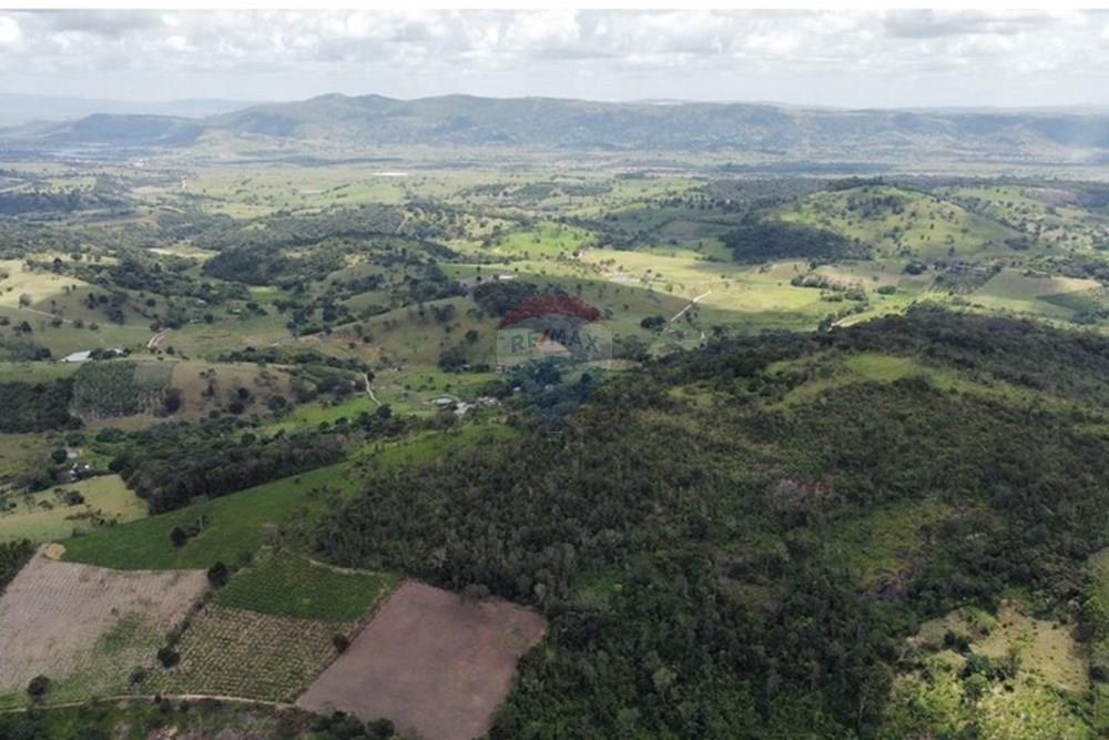Chácara / Sítio / Fazenda - Venda - Bonito , Pernambuco - WhatsApp Image 2024-12-05 at 15.53.59 (1).jpeg - 850051012-116