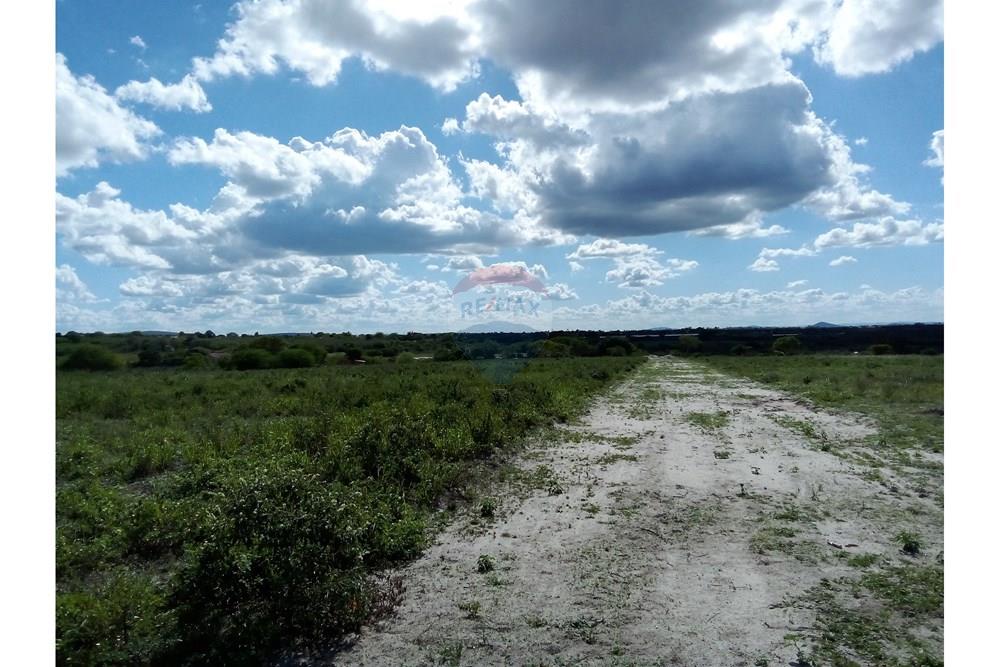 Chácara / Sítio / Fazenda - Venda - Lajedo , Pernambuco - IMG_20250415_142841.jpg - 850131018-43