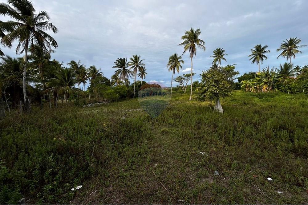 Terreno - Venda - Marechal Deodoro , Alagoas - WhatsApp Image 2025-01-30 at 12.56.31 (11).jpeg - 850691012-49