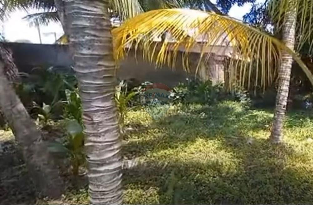 Terreno - Venda - Jaboatão dos Guararapes , Pernambuco - Foto dentro do terreno III.jpg - 850601020-8