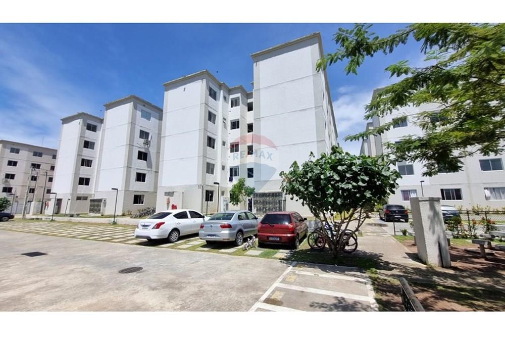 Apartamento - Venda - Paulista , Pernambuco - WhatsApp Image 2024-12-05 at 09.51.08 (5).jpeg - 850721002-54