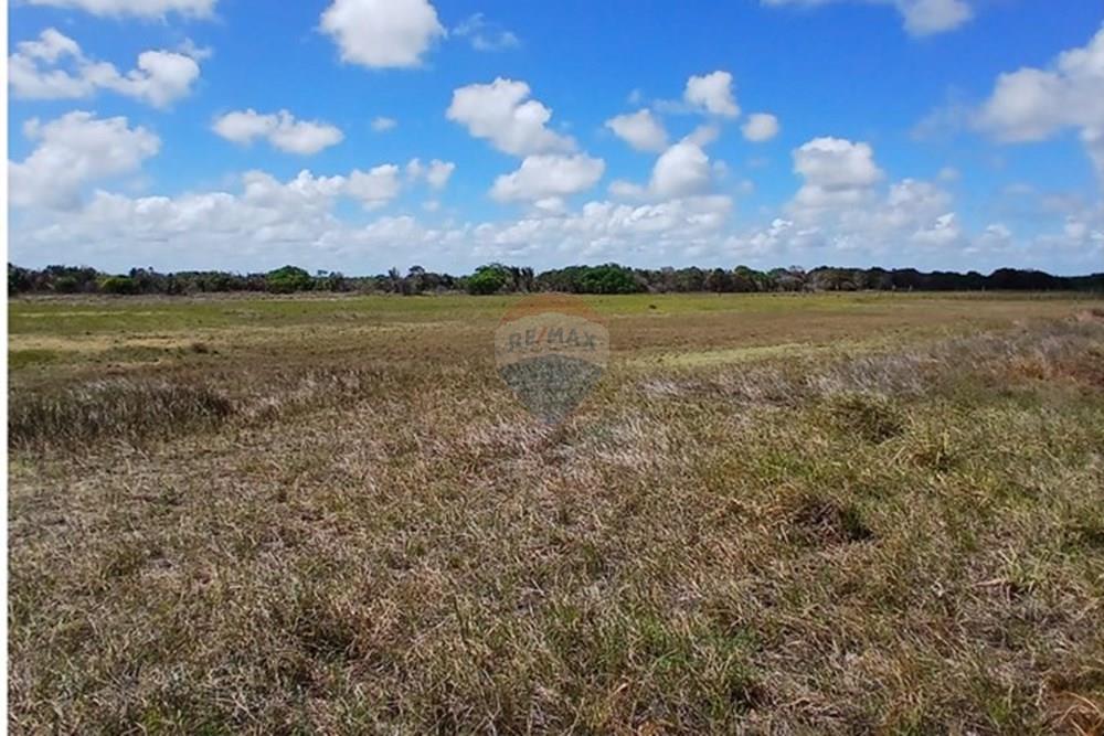 Chácara / Sítio / Fazenda - Venda - Piaçabuçu , Alagoas - IMG-20250221-WA0116.jpg - 850271205-15