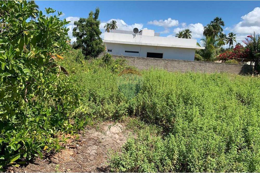 Terreno - Venda - Porto de Pedras , Alagoas - 24.jpg - 850661038-32