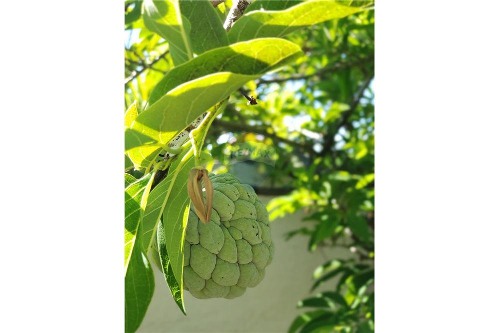 Casa - Venda - Ipojuca , Pernambuco - 32 - 850221015-74