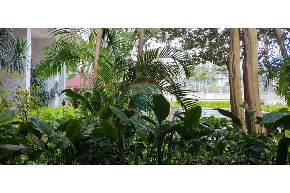 Apartamento - Venda - Recife , Pernambuco - 5fb49b8b-9417-40bd-81eb-c60d84382619.jpg - 850301003-29