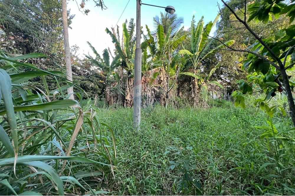 Chácara / Sítio / Fazenda - Venda - Maceió , Alagoas - 1f52e729-a2e4-413f-a16a-d6462c29a117.jpg - 850271213-2