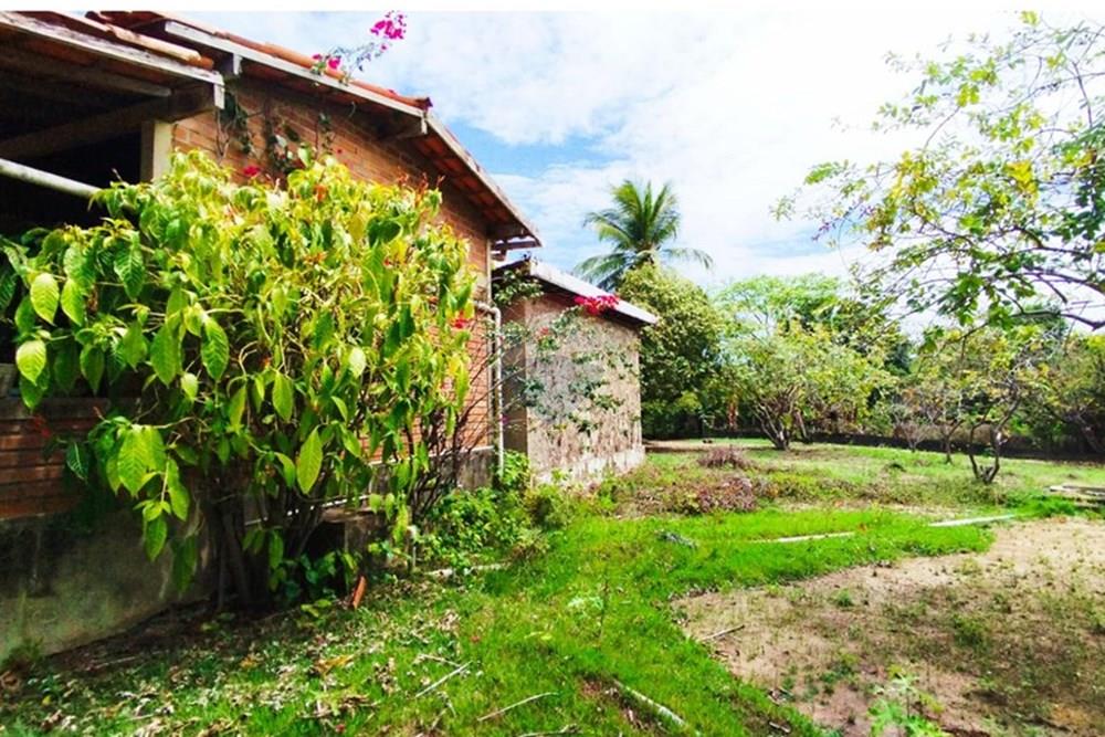 Chácara / Sítio / Fazenda - Venda - Igarassu , Pernambuco - WhatsApp Image 2025-01-23 at 15.12.45 (1).jpeg - 850071019-161