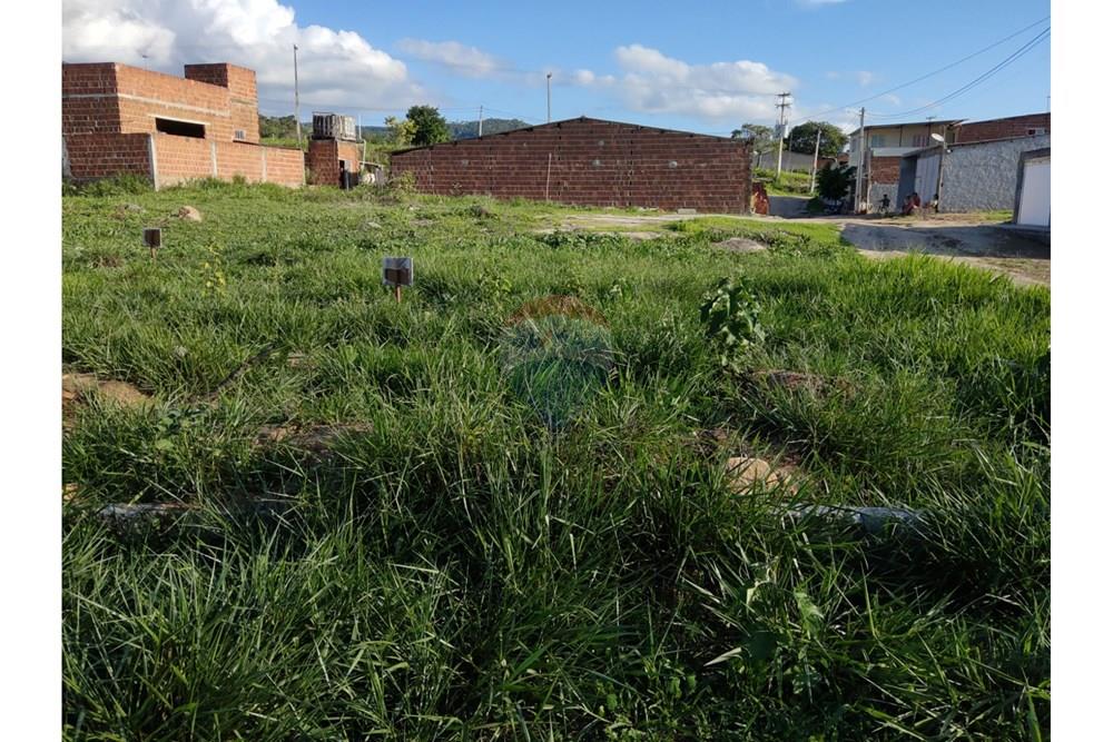 Terreno - Venda - Bonito , Pernambuco - WhatsApp Image 2025-03-10 at 08.43.25.jpeg - 850051012-95